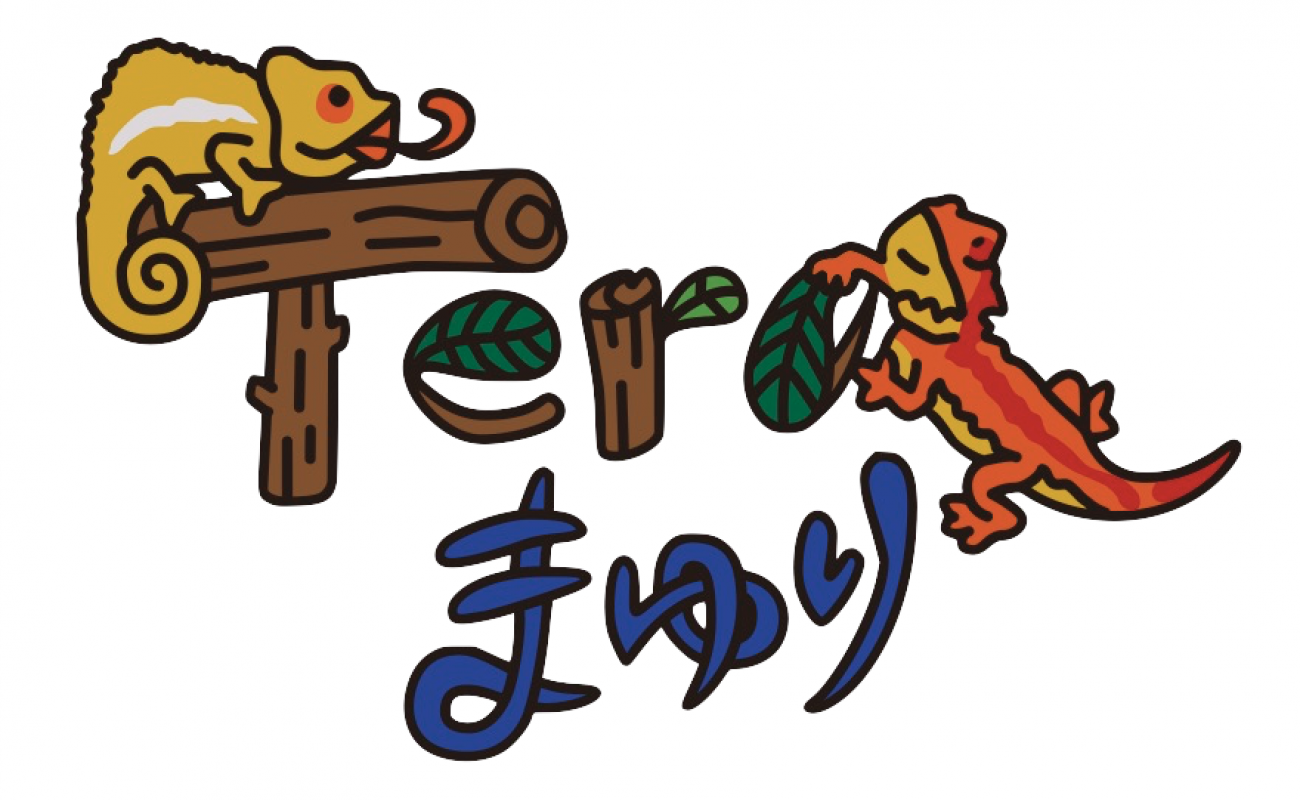 TeraまゆりCBクレステッドゲッコー